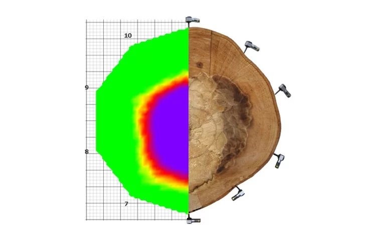 grafik hasil alat uji pohon fakopp arborsonic