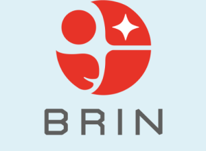 BRIN