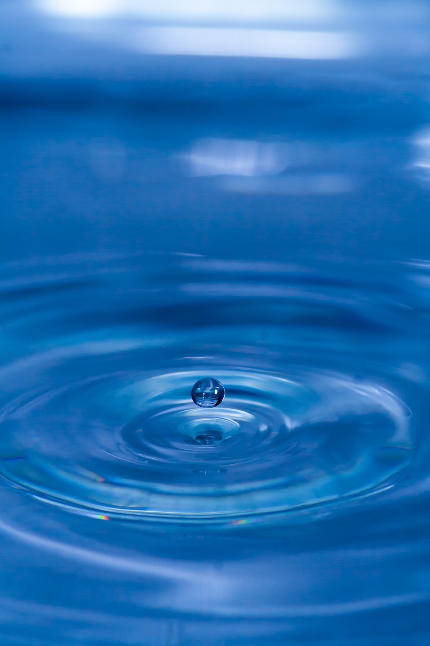 drip, nature, water