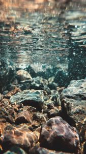 river, water, nature