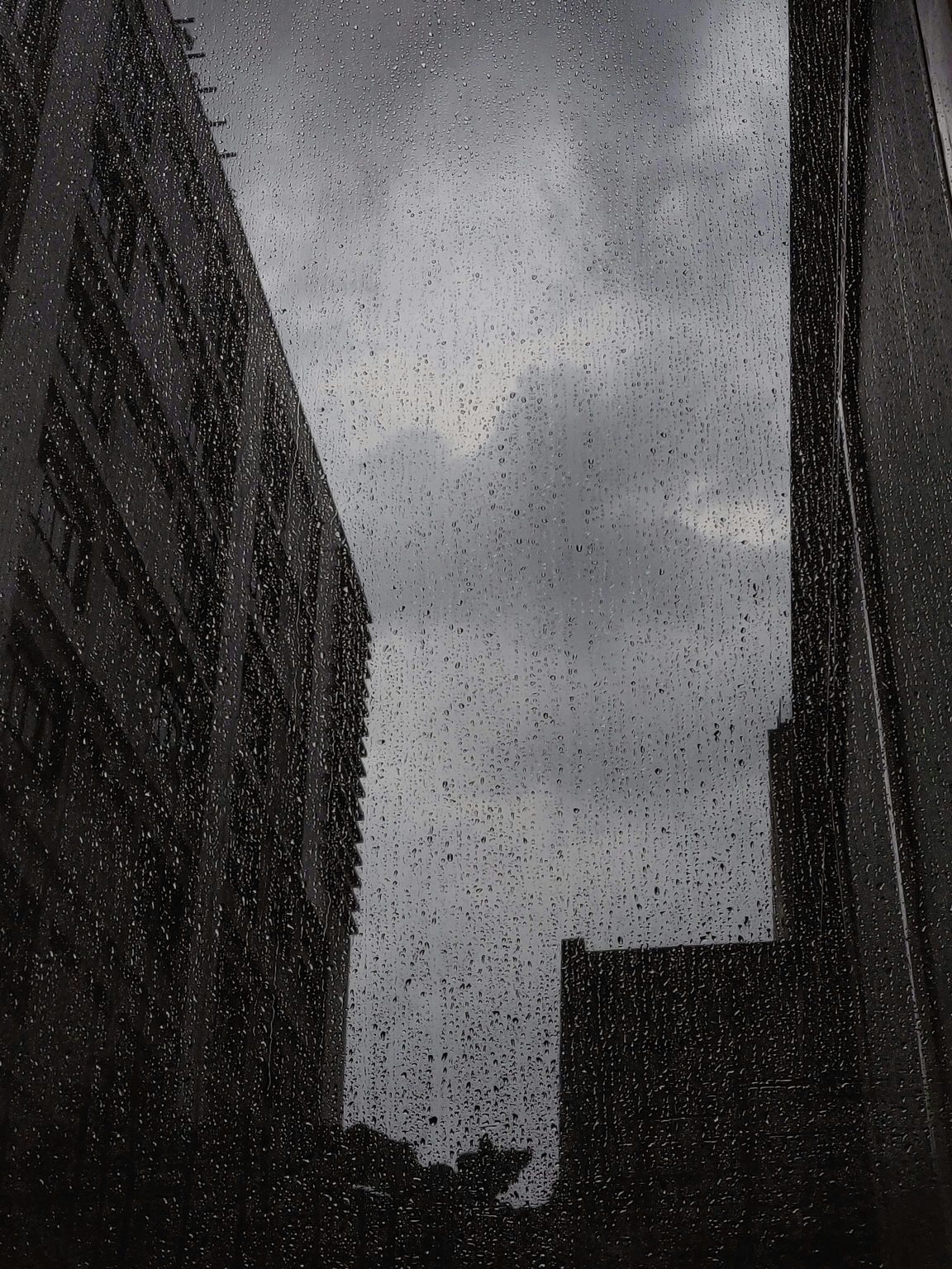 Wet Window